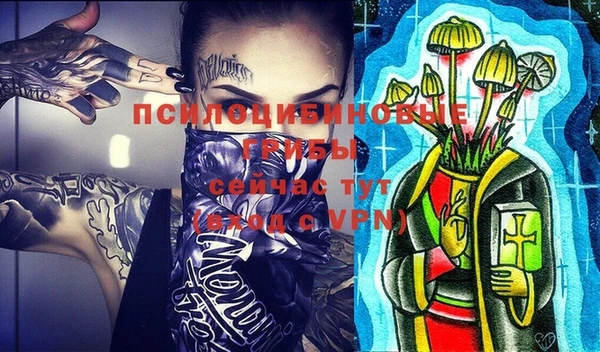 гидропоника Нязепетровск