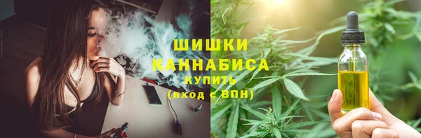 гидропоника Нязепетровск