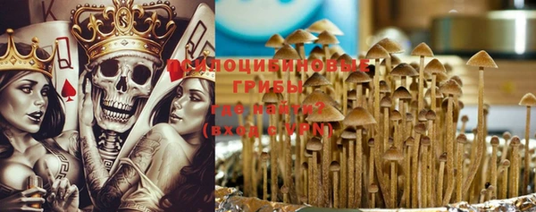 гидропоника Нязепетровск
