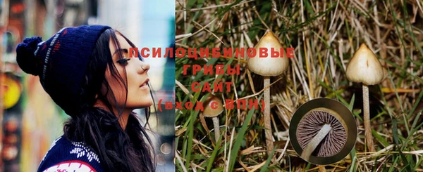 таблы Няндома