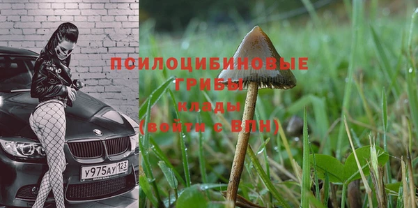 дурь Красавино