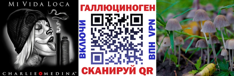 Купить где  Заринск  Галлюциногенные грибы Psilocybine cubensis 